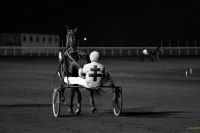 hippodrome2014 (13).jpg
